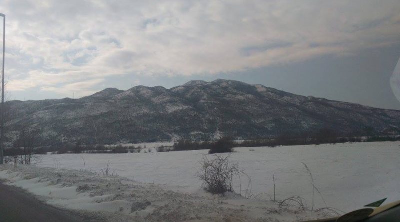 mladi niksica