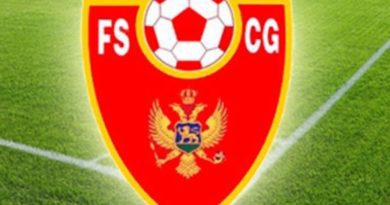 Na slici se nalazi logo FSCG