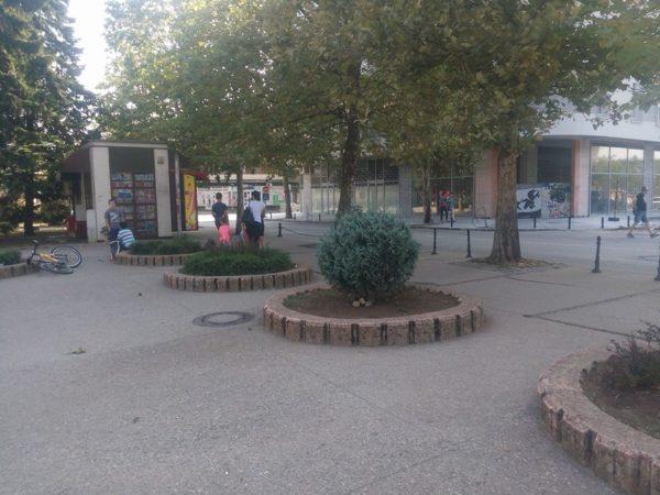 mladi niksica