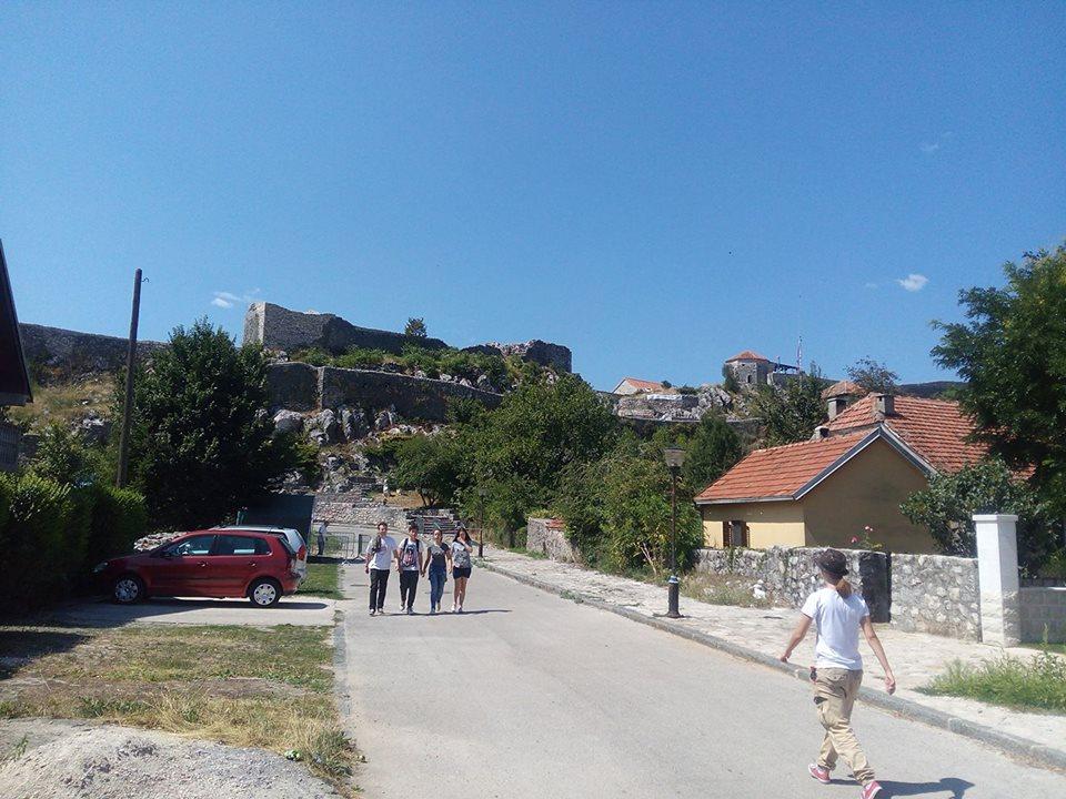 mladi niksica