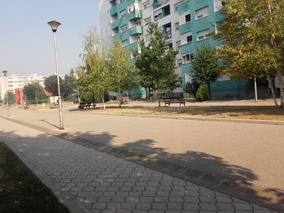 mladi niksica