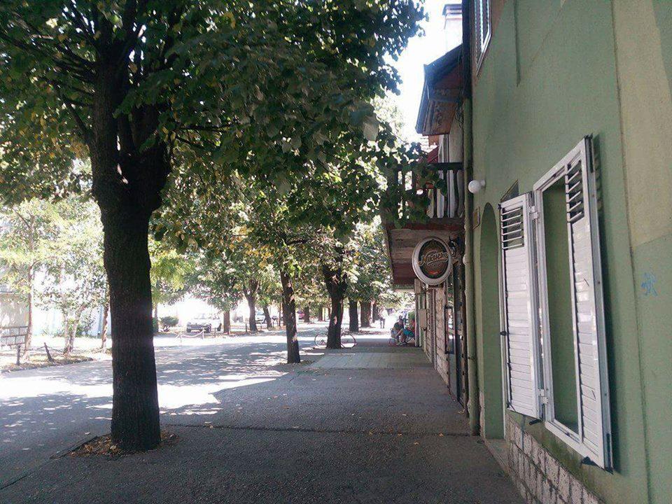 mladi niksica