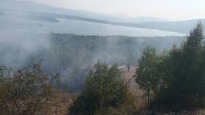 mladi niksica