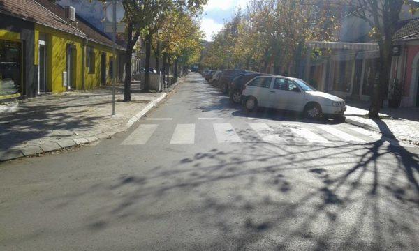 Mladi Nikšića
