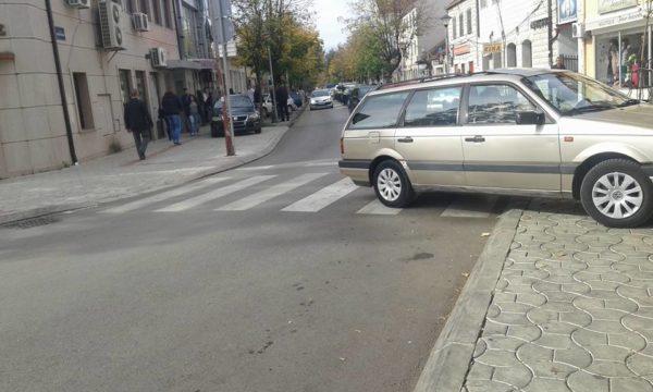 Mladi Nikšića