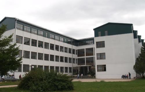 Mladi Nikšića