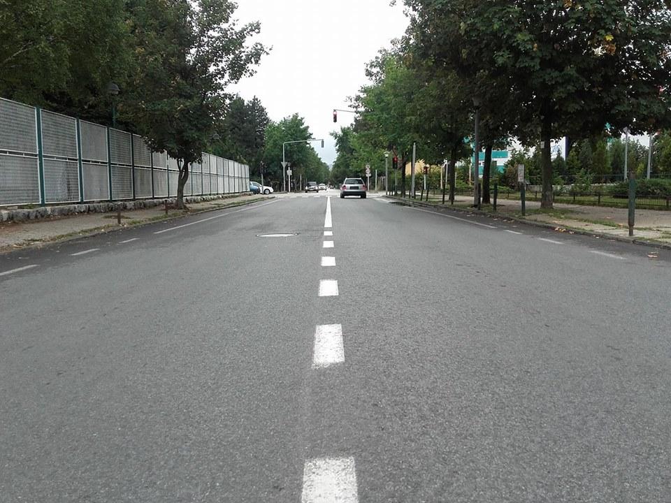 mladi niksica