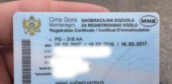Mladi Nikšića