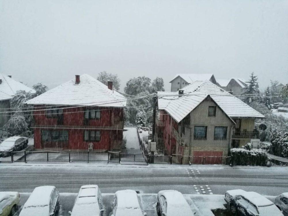 Mladi Nikšića