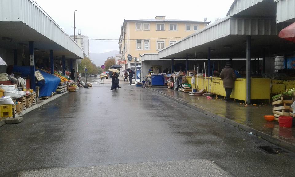 Mladi Nikšića