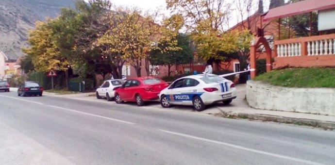 Mladi Nikšića