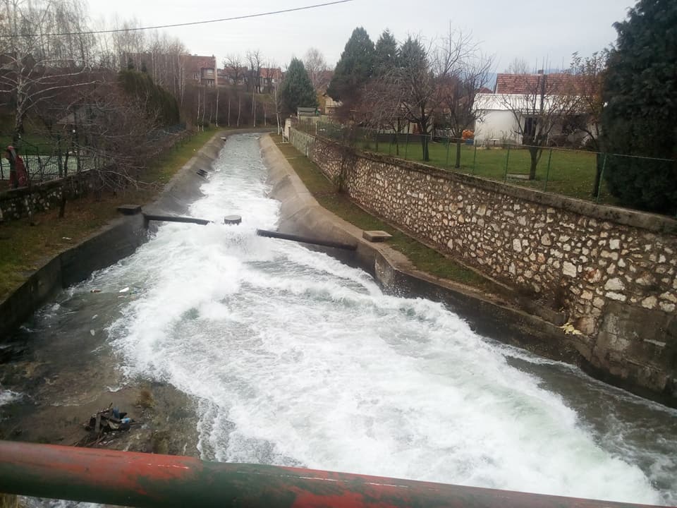 Mladi Nikšića