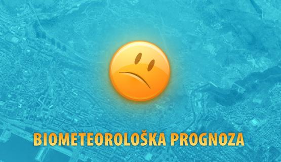 Mladi Nikšića