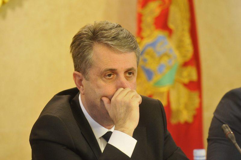 Mladi Nikšića
