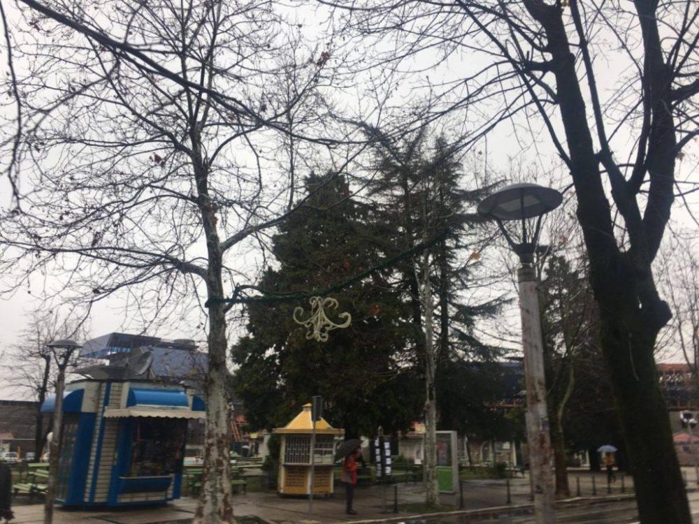 Mladi Nikšića