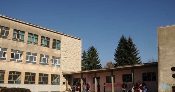 olga golovic