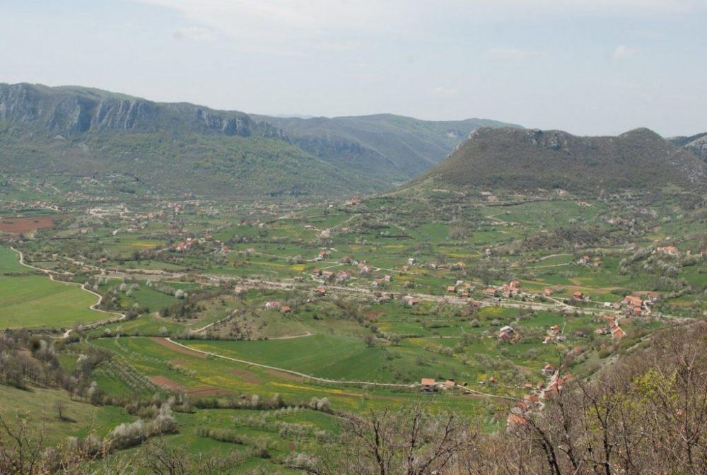 Mladi Nikšića