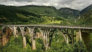 Tara: Divljina i most