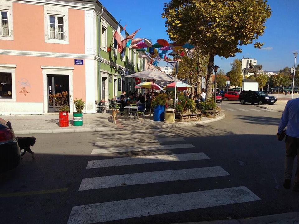 Mladi Nikšića