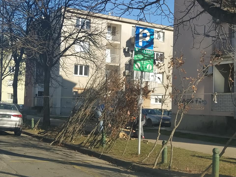 badnjaci