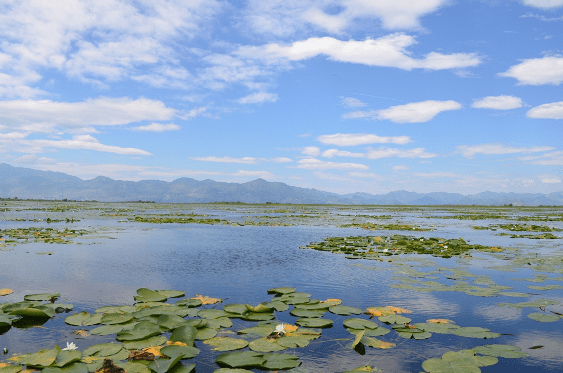 skadarsko jezero