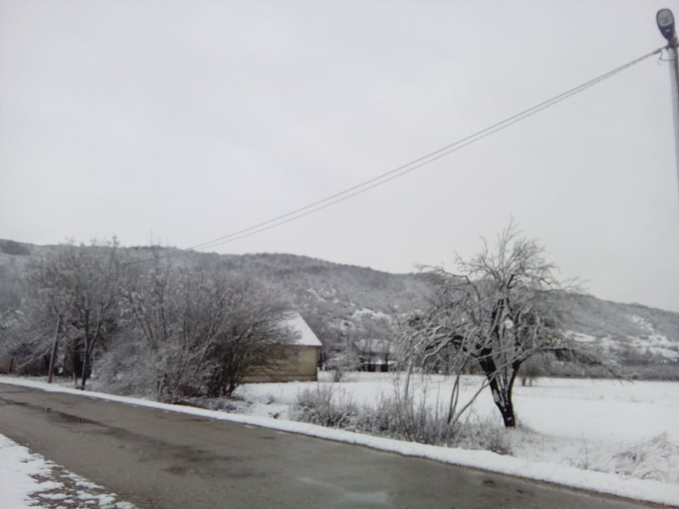 niksic