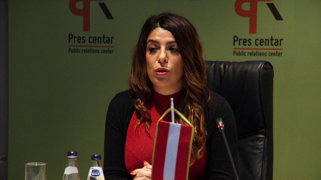 Fana delija, Centar za romske inicijative