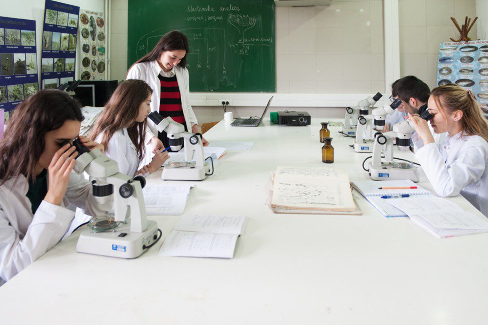 prirodno matematicki