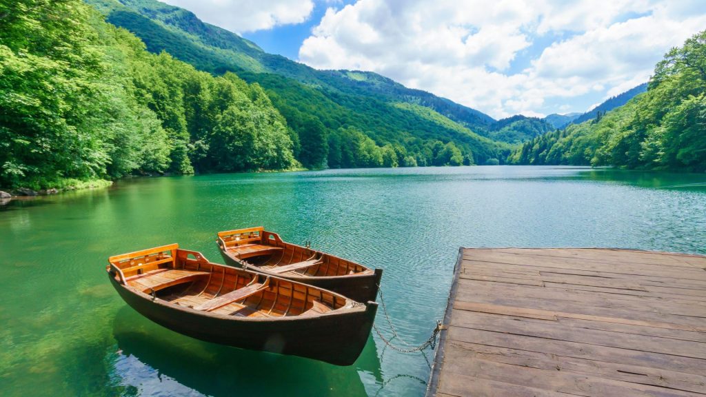 Biogradska gora