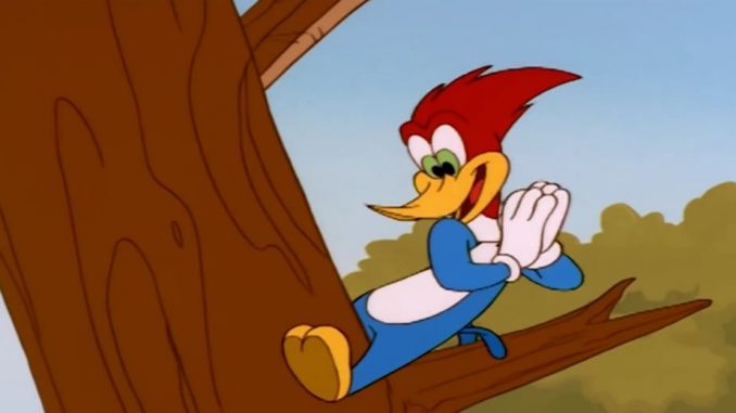 Pera Detlić, KUC KUC, rođendan