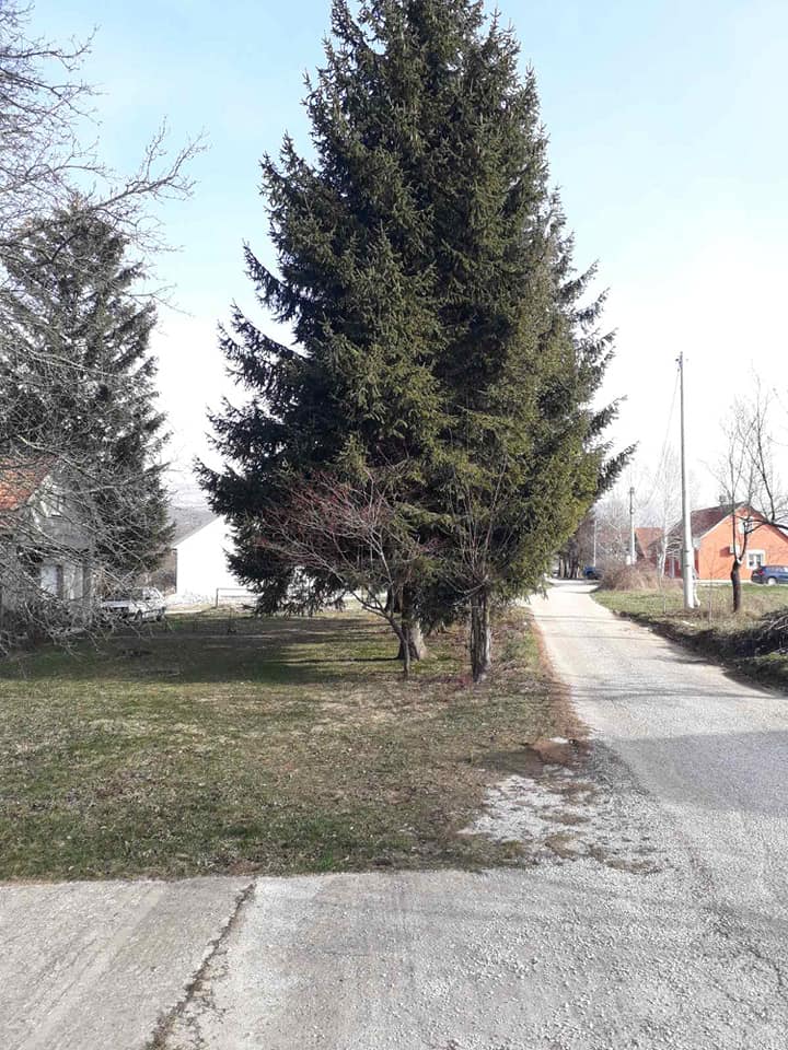 jutarnje trenutno nikšić