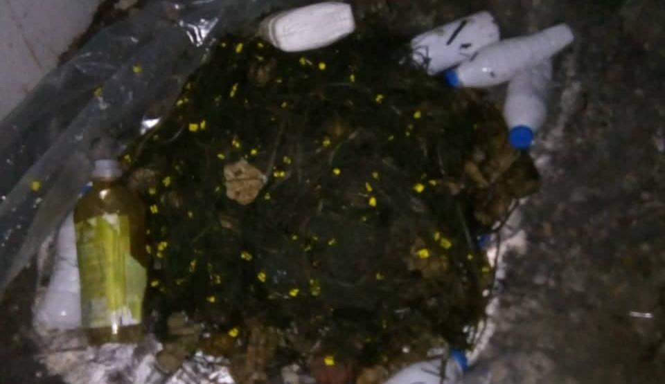 Nacionalni parkovi, krivolovci, granica