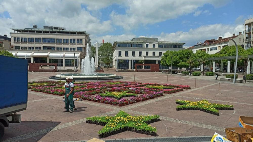 Crna Gora dobila prvi cvjetni tepih, svečano otvaranje sjutra