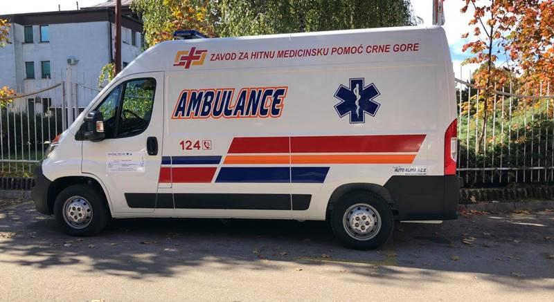 ZHMP