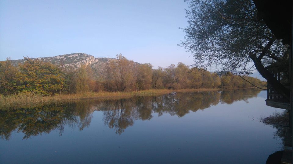Sitnica