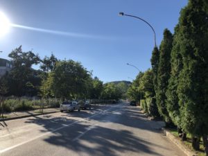 Trenutno u Nikšiću