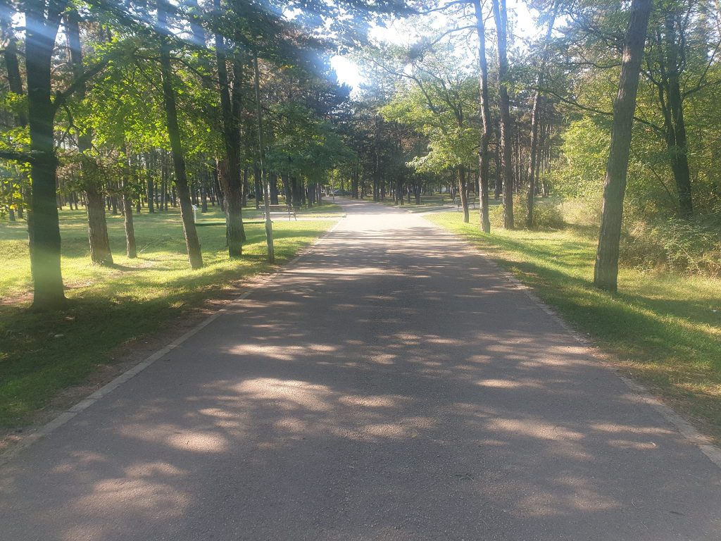 Trenutno Nikšić