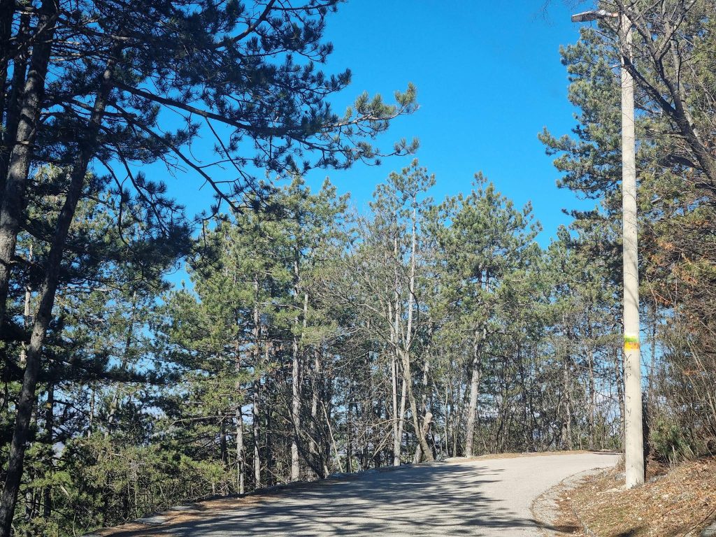 Niksic trenutno