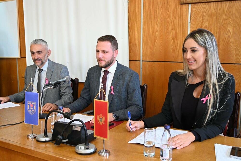 Ružočasti oktobar skupština opštine Nikšić