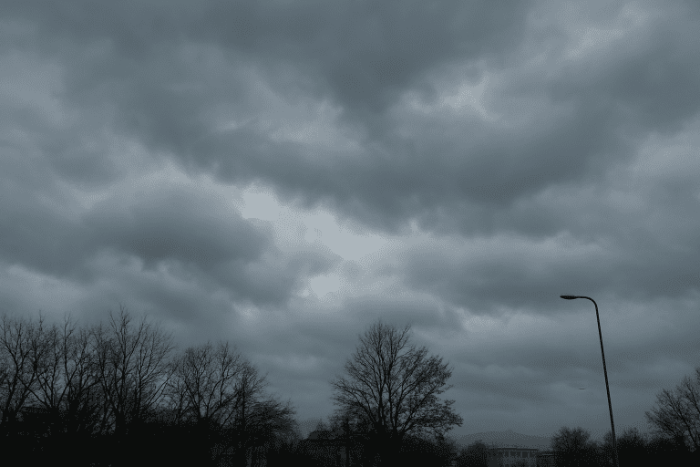 6d96b39c-af2a-48d2-8c74-222d96a2a2b1