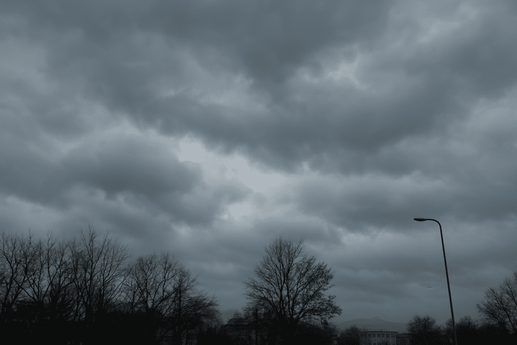 6d96b39c-af2a-48d2-8c74-222d96a2a2b1