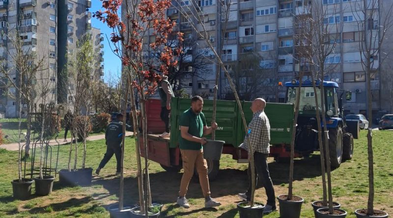 Mladi ekolozi zasadili nova stabla u Nikšiću