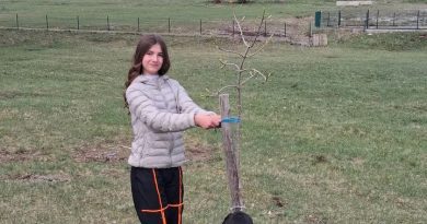 dan planete zemlje os janko bjelica ucenici ekologija skolsko dvoriste ciscenje dvorista ucenici ekoloske aktivnosti skola
