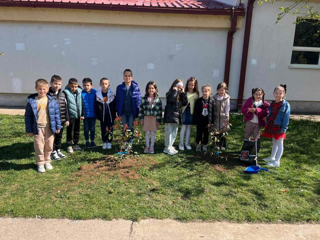 sadnja drveca djeca skola ucenici uredjenje dvorista priroda ekologija skola biljke dvoriste skola