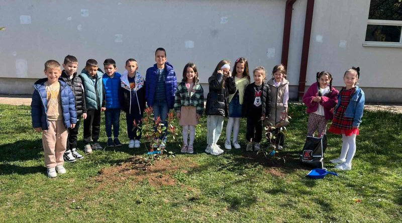 sadnja drveca djeca skola ucenici uredjenje dvorista priroda ekologija skola biljke dvoriste skola