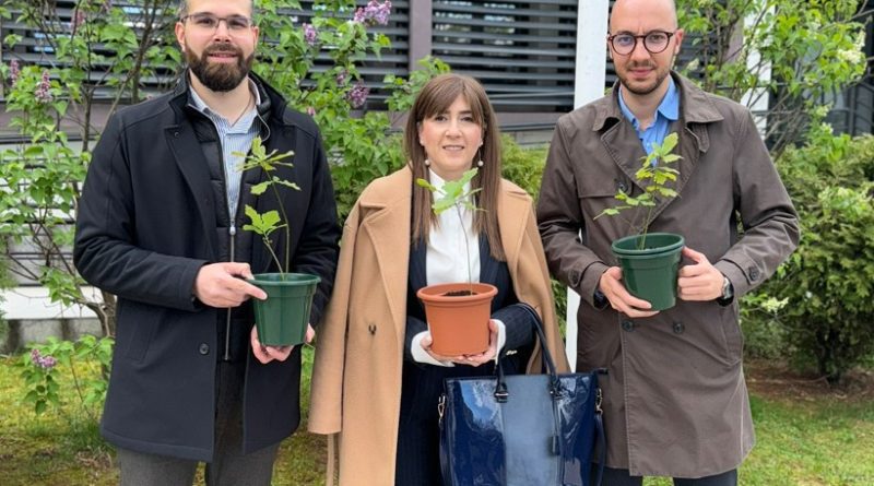 sadnja drveca niksic trebjesa rodjendansko drvo kampanja hrast sadnice niksic ekologija akcija niksic