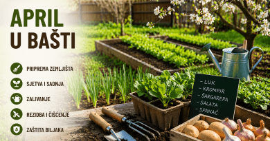 april basta sadnja voćke
