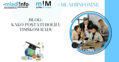 blog o timskom radu