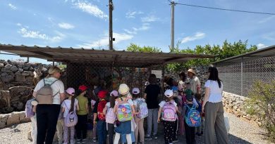 VJ Bistrica, K9 Horse Riding, Wildlife Park Podgorica, vrtić, izlet djece, druženje mališana
