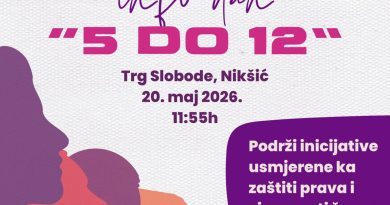 NVO Mozaik, Nikšić, žene sa invaliditetom, nasilje nad ženama, Info dan 5 do 12, Trg Slobode, Crna Gora